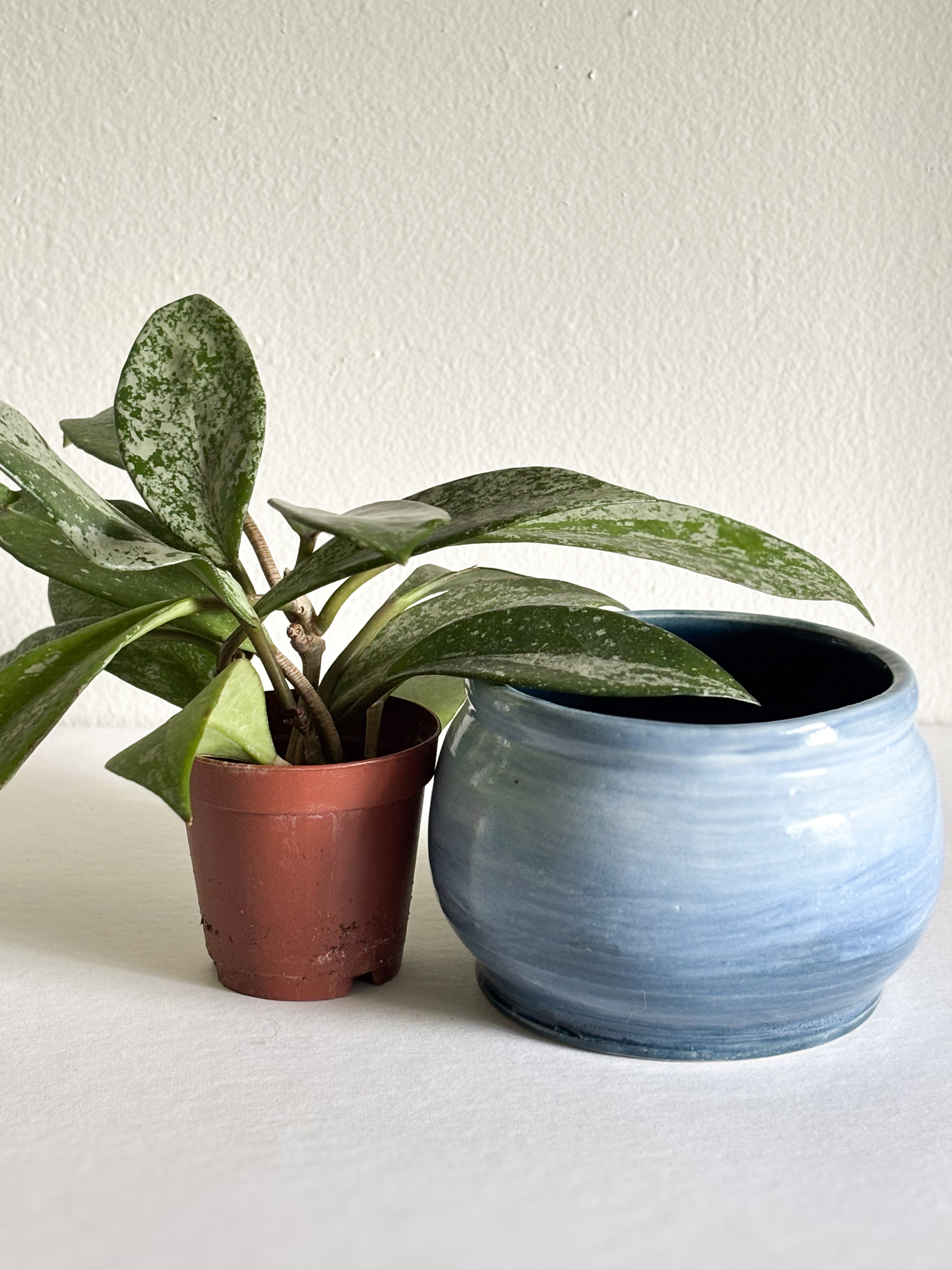 I’m Blue Pot